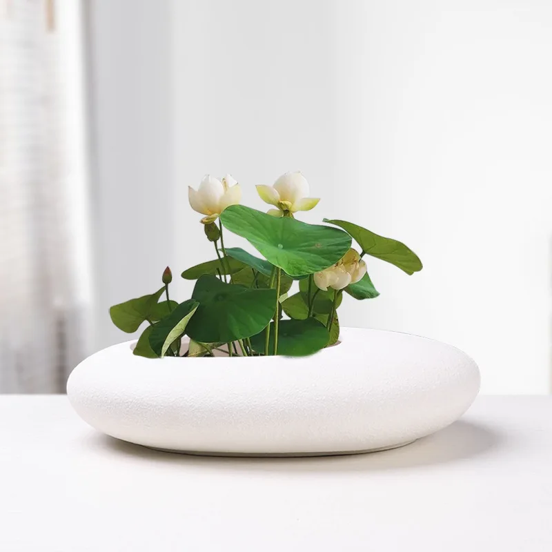 Медная чаша для денежной травы, Лотос, Гидропонный цветочный горшок Lotus, Креативный непористый керамический таз из зеленой соломы, украшение офиса