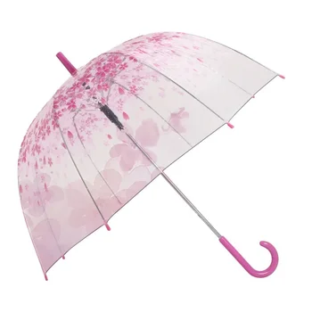 Зонт с лепестками, длинная ручка, девушка-богиня искусства, Карамельный цвет, Маленький Свежий Apollo Princess, Прозрачный зонт, Umbrella Academy Mini