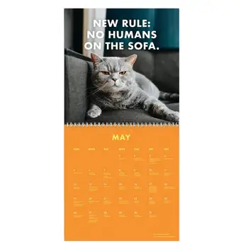 Календарь Взбешенных Кошек на 2024 год, Забавный Настенный Календарь Кошек, Настенный Календарь Кошек на 2024 год, Креативный Календарь, Настольный Календарь Кошки
